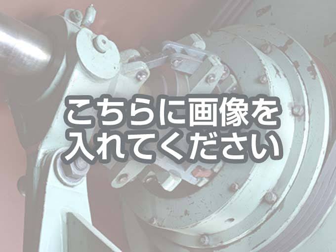代替テキストをご記入ください