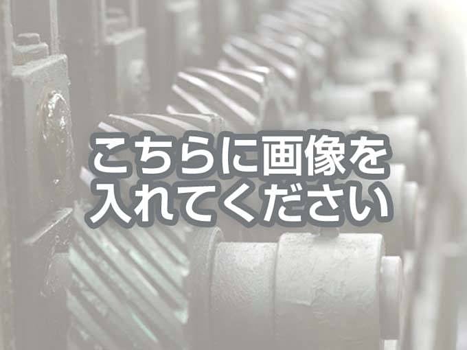 代替テキストをご記入ください