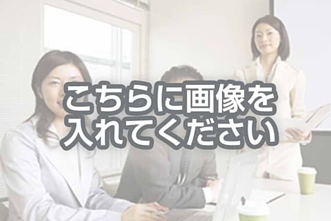 代替テキストをご記入ください
