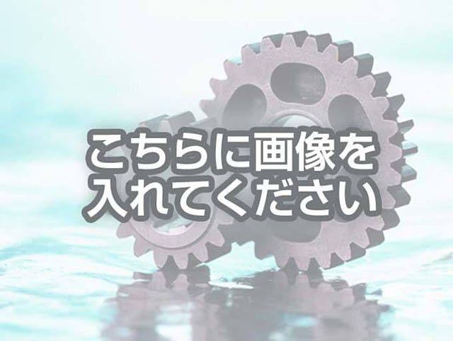 代替テキストをご記入ください