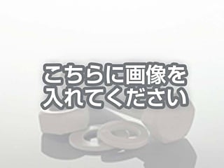 代替テキストをご記入ください