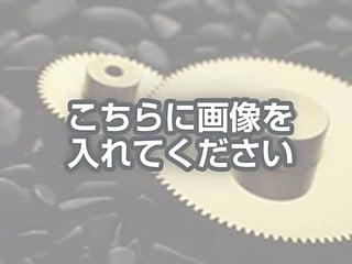 代替テキストをご記入ください