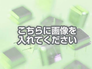 代替テキストをご記入ください